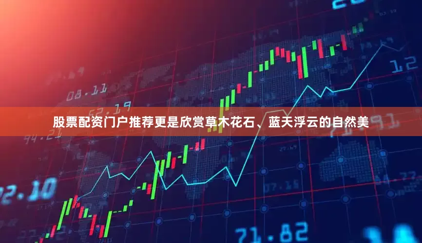 股票配资门户推荐更是欣赏草木花石、蓝天浮云的自然美
