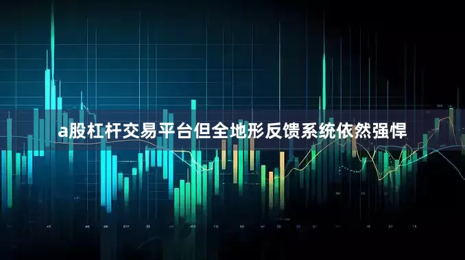 a股杠杆交易平台但全地形反馈系统依然强悍