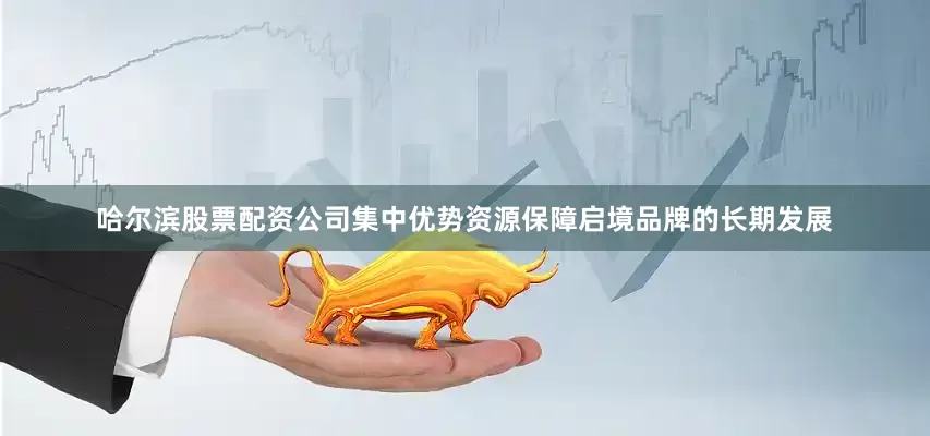 哈尔滨股票配资公司集中优势资源保障启境品牌的长期发展
