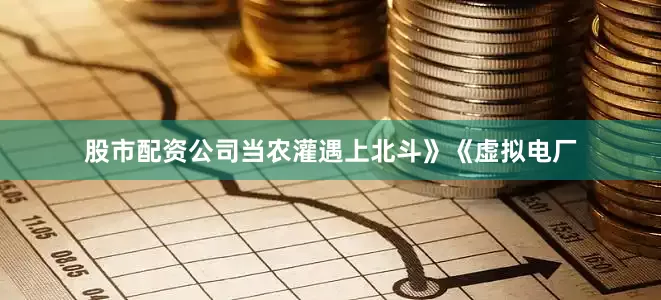 股市配资公司当农灌遇上北斗》《虚拟电厂