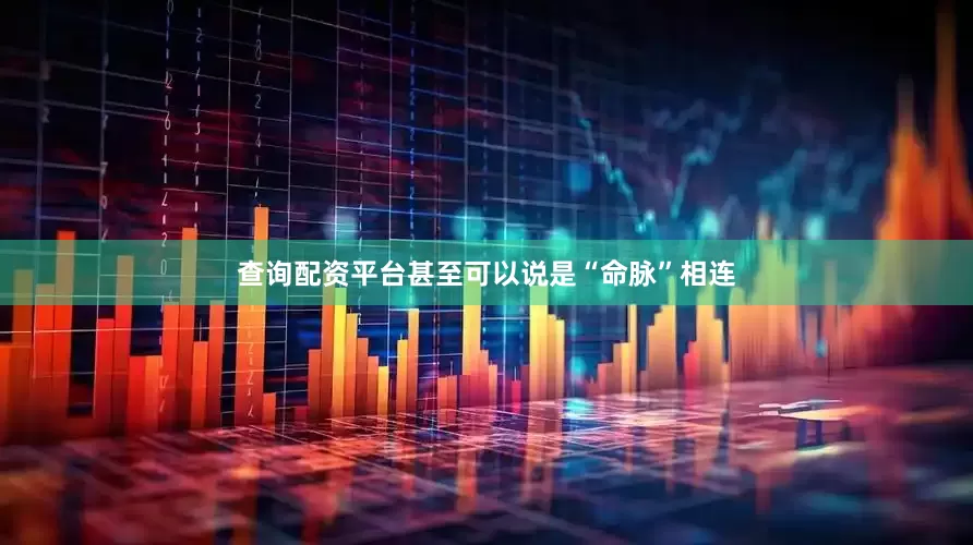 查询配资平台甚至可以说是“命脉”相连